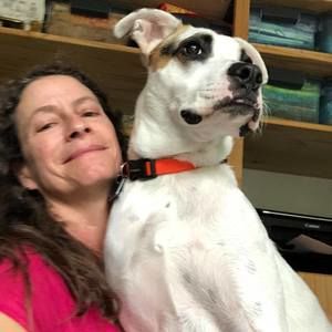 Meet your Posher, Anne